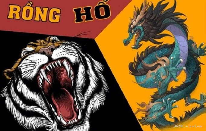Tìm hiểu cách chơi rồng hổ và tham khảo luật chơi