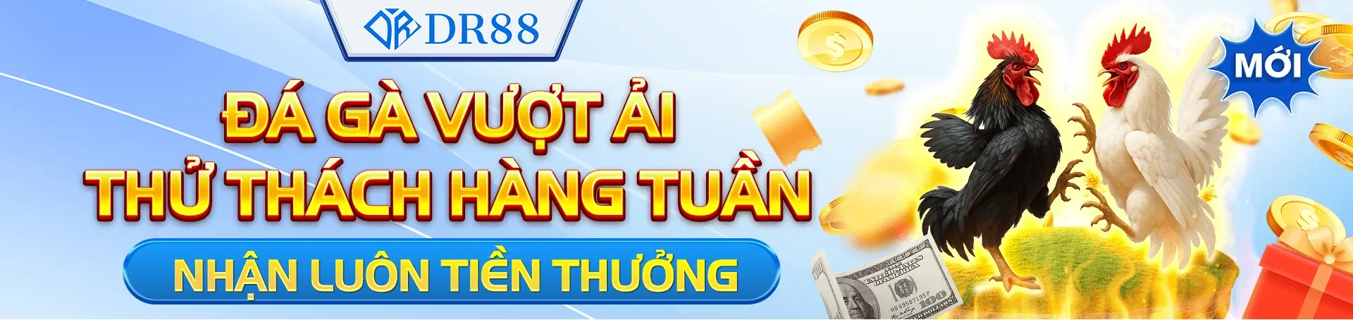 Đá gà vượt ải DR88